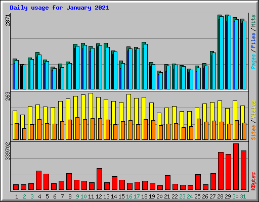 Daily usage for January 2021