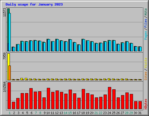 Daily usage for January 2023