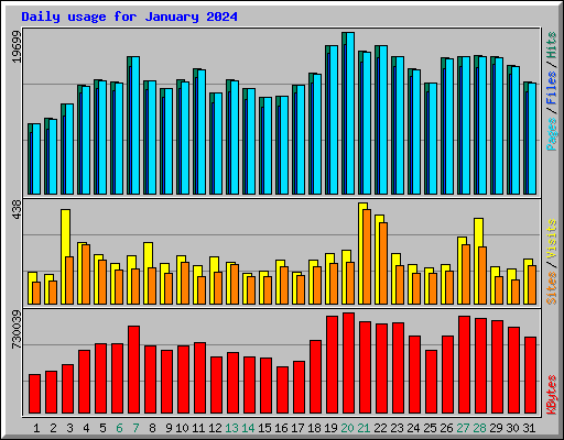 Daily usage for January 2024