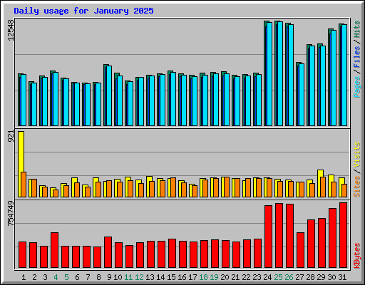 Daily usage for January 2025