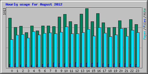 Hourly usage for August 2012