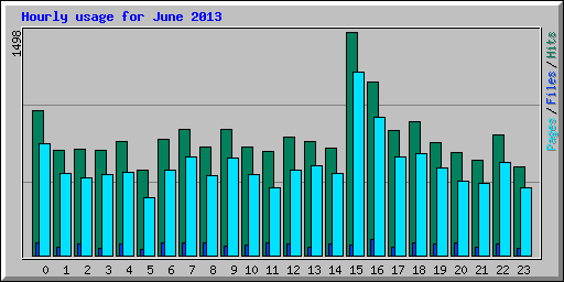 Hourly usage for June 2013