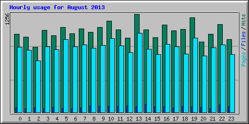 Hourly usage for August 2013