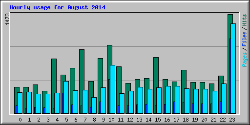 Hourly usage for August 2014