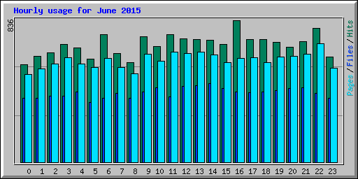 Hourly usage for June 2015