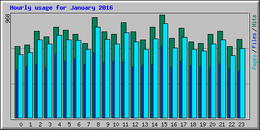 Hourly usage for January 2016