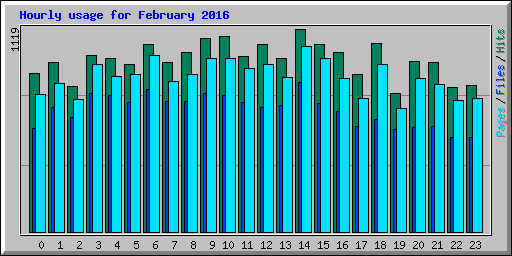 Hourly usage for February 2016