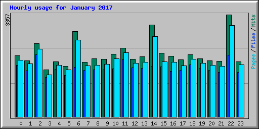 Hourly usage for January 2017