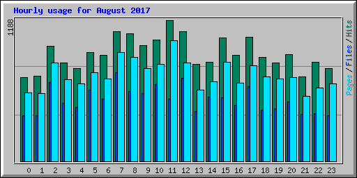 Hourly usage for August 2017