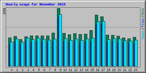 Hourly usage for November 2018