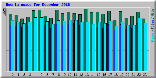 Hourly usage for December 2018