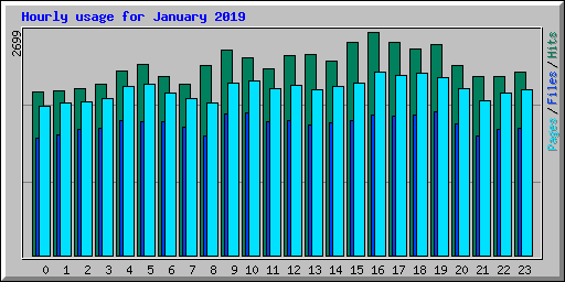 Hourly usage for January 2019
