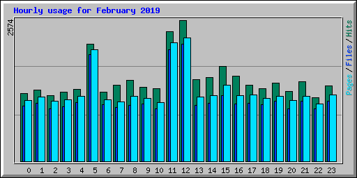 Hourly usage for February 2019