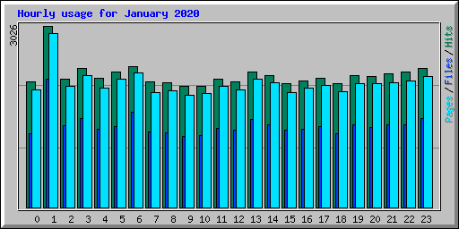 Hourly usage for January 2020