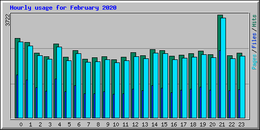 Hourly usage for February 2020