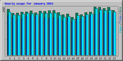 Hourly usage for January 2021