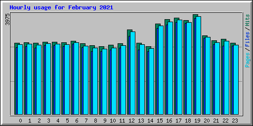 Hourly usage for February 2021