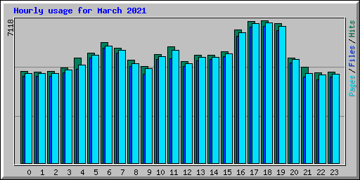 Hourly usage for March 2021
