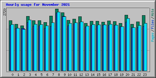 Hourly usage for November 2021