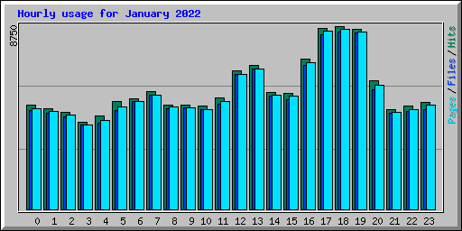 Hourly usage for January 2022