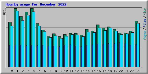 Hourly usage for December 2022