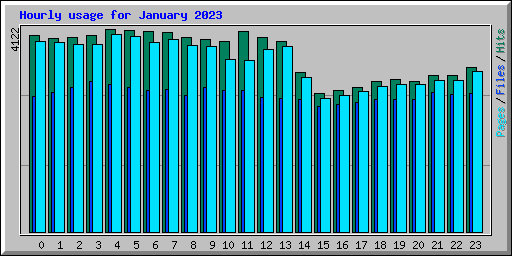 Hourly usage for January 2023