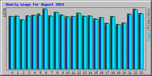 Hourly usage for August 2023