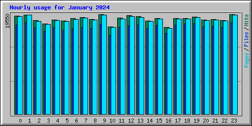 Hourly usage for January 2024