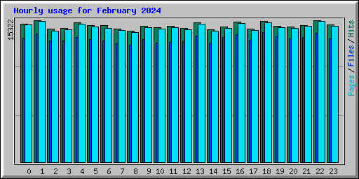 Hourly usage for February 2024