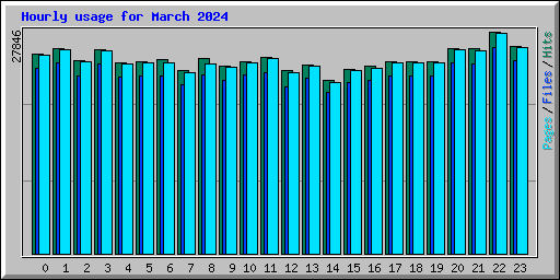 Hourly usage for March 2024
