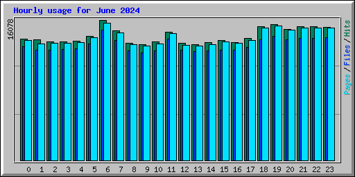Hourly usage for June 2024