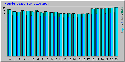 Hourly usage for July 2024