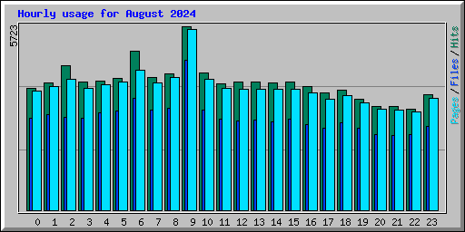 Hourly usage for August 2024