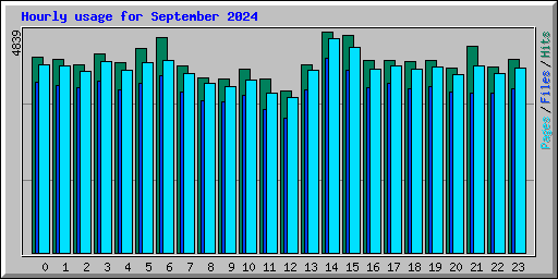 Hourly usage for September 2024