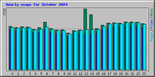 Hourly usage for October 2024