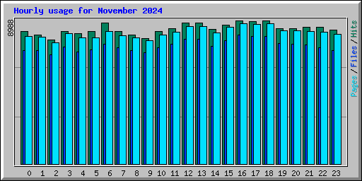 Hourly usage for November 2024
