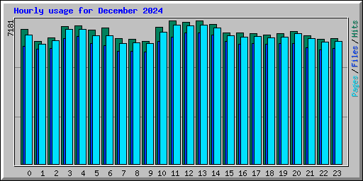 Hourly usage for December 2024