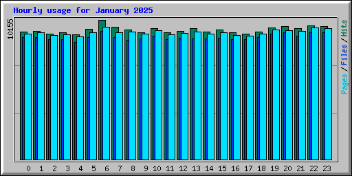 Hourly usage for January 2025