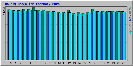 Hourly usage for February 2025