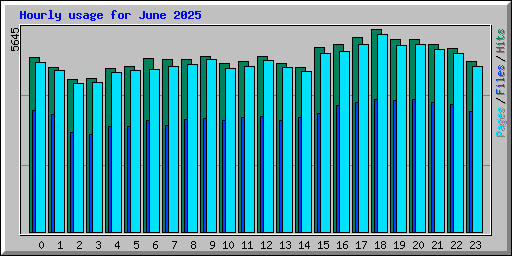 Hourly usage for June 2025