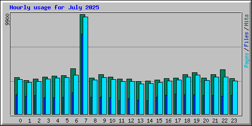 Hourly usage for July 2025