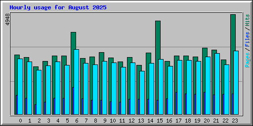 Hourly usage for August 2025