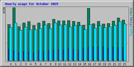 Hourly usage for October 2025