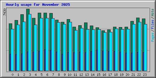 Hourly usage for November 2025
