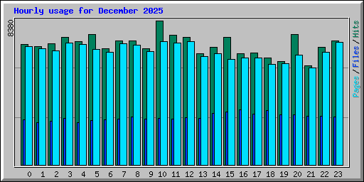 Hourly usage for December 2025