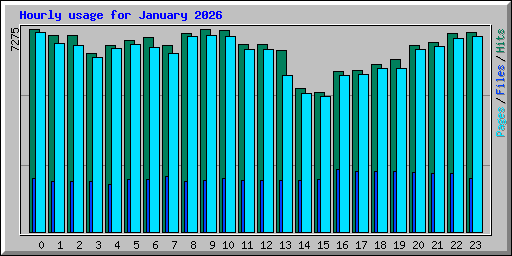 Hourly usage for January 2026