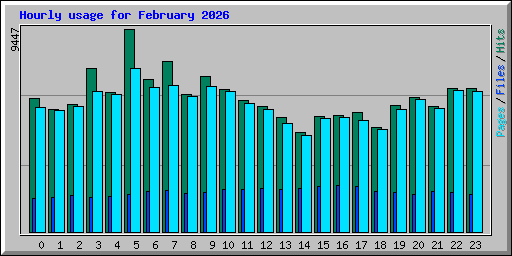 Hourly usage for February 2026