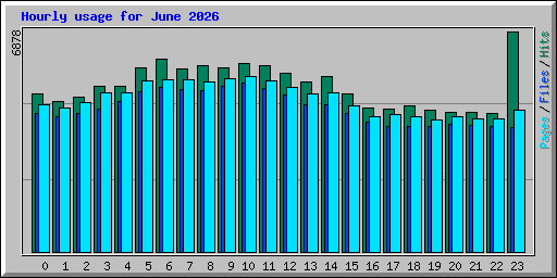 Hourly usage for June 2026