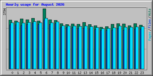 Hourly usage for August 2026